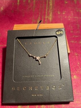 Secret Box _ 14K Gold Dipped CZ Cancer Zodiac Sign Pendant Necklace